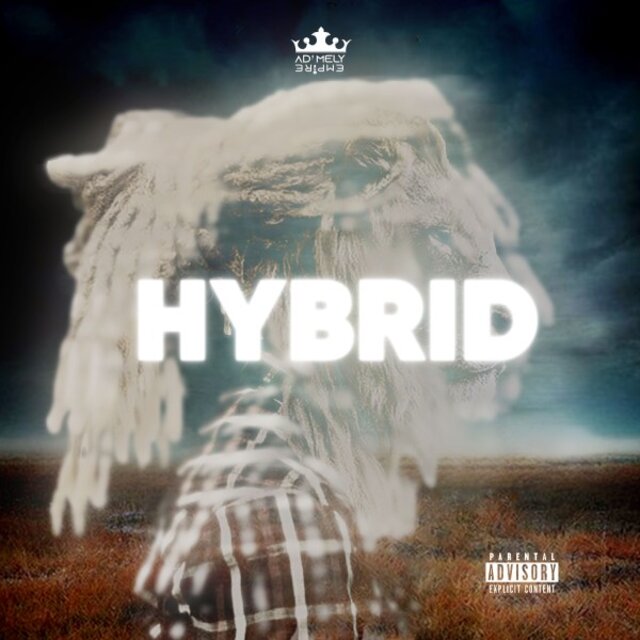 Hybrid