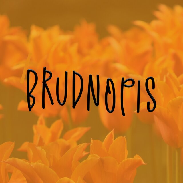 Brudnopis