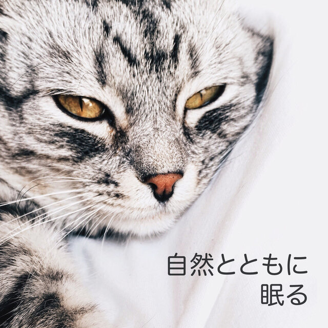 自然とともに眠る