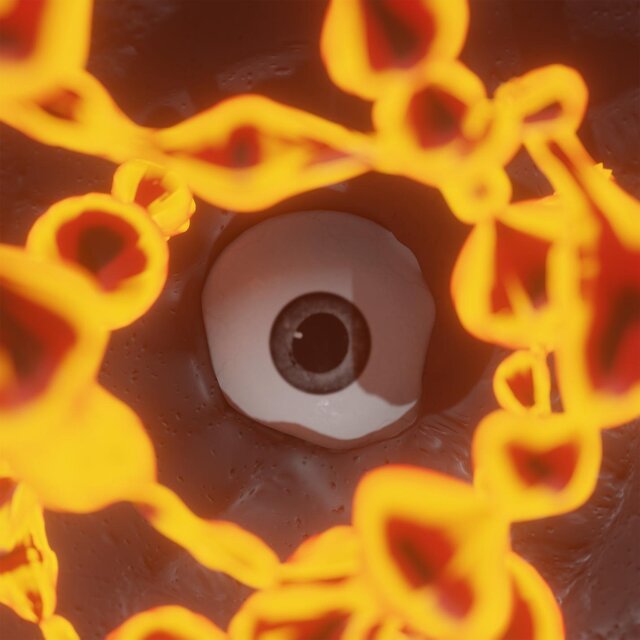 HypnoRiddim (feat. Fundahdog)