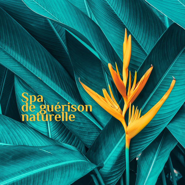 Spa de guérison naturelle (Revenez à la pleine santé avec un mélange de musique de spa et de sons naturels)
