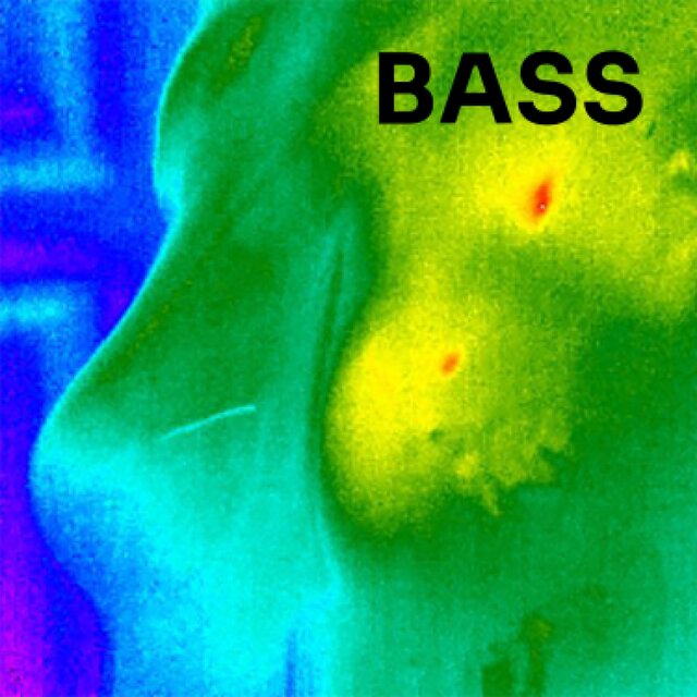 Bass