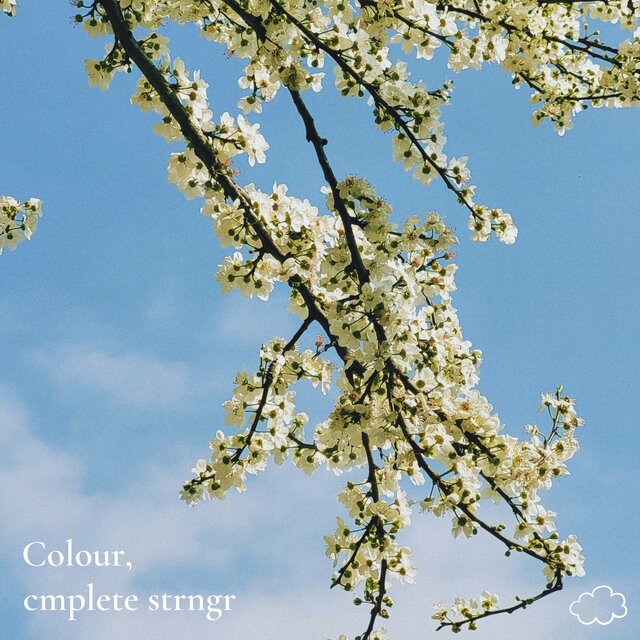 Colour