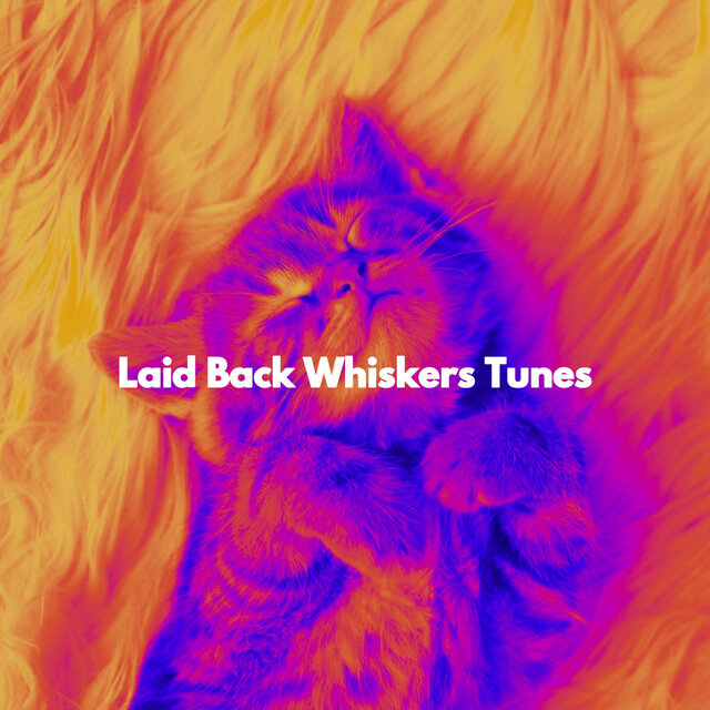 Laid Back Whiskers Tunes