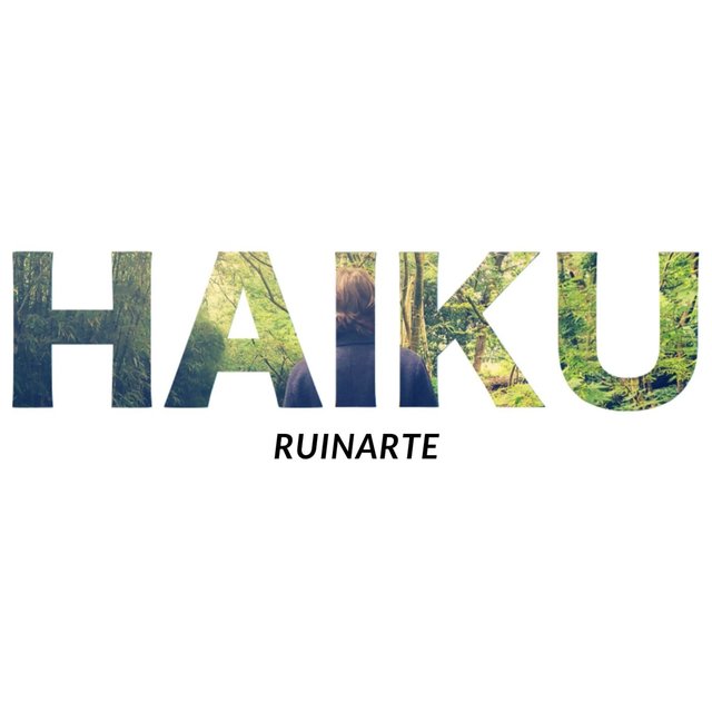 Haiku