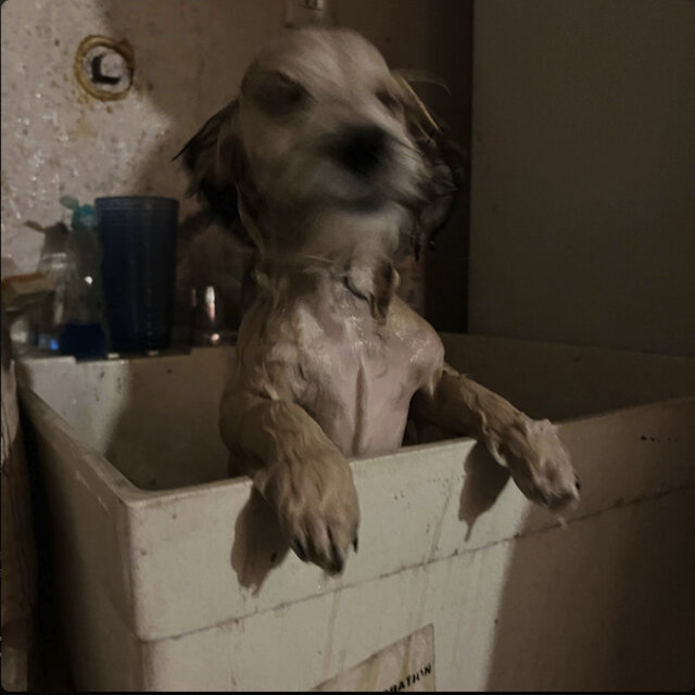 I just stole 2 minutes of ur life