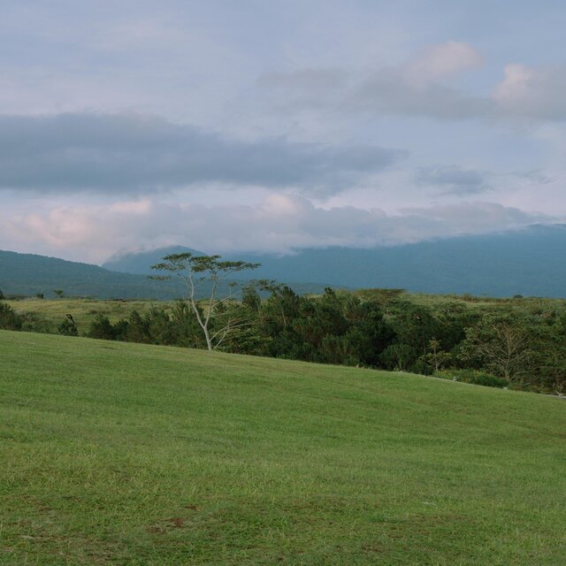 Hijau Alamku
