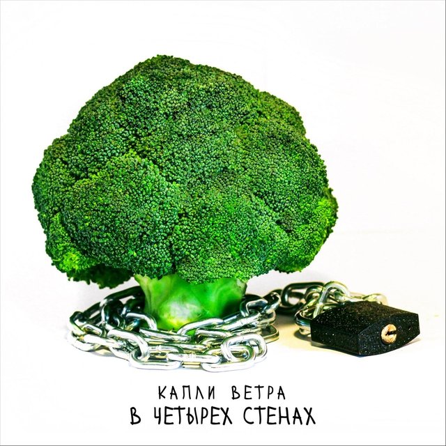 В четырех стенах
