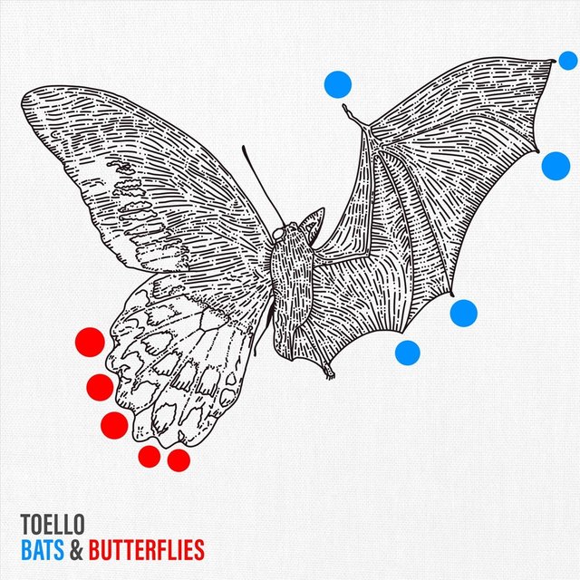 Bats & Butterflies