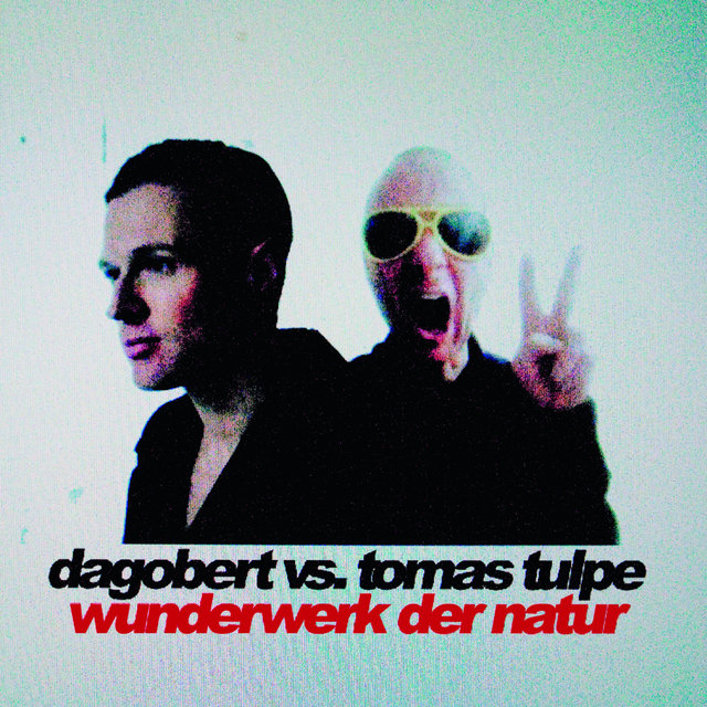 Wunderwerk der Natur (Tomas Tulpe Remix)
