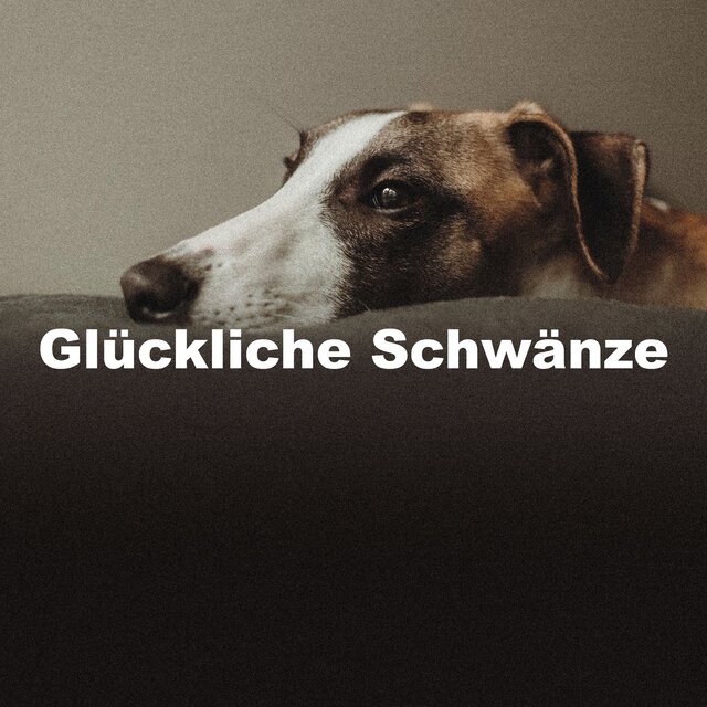 Glückliche Schwänze