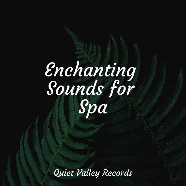 Enchanting Sounds for Spa