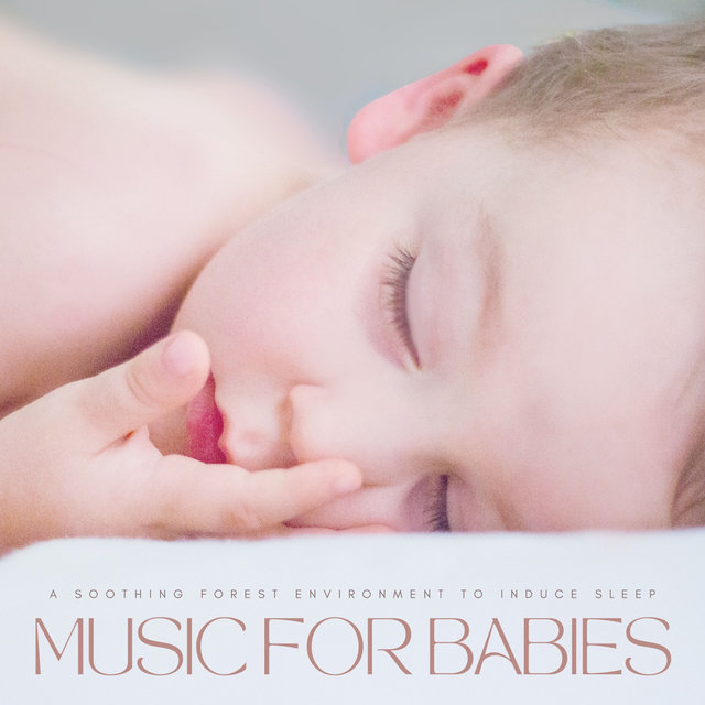 Music For Babies: A Soothing Forest Environment To Induce Sleep