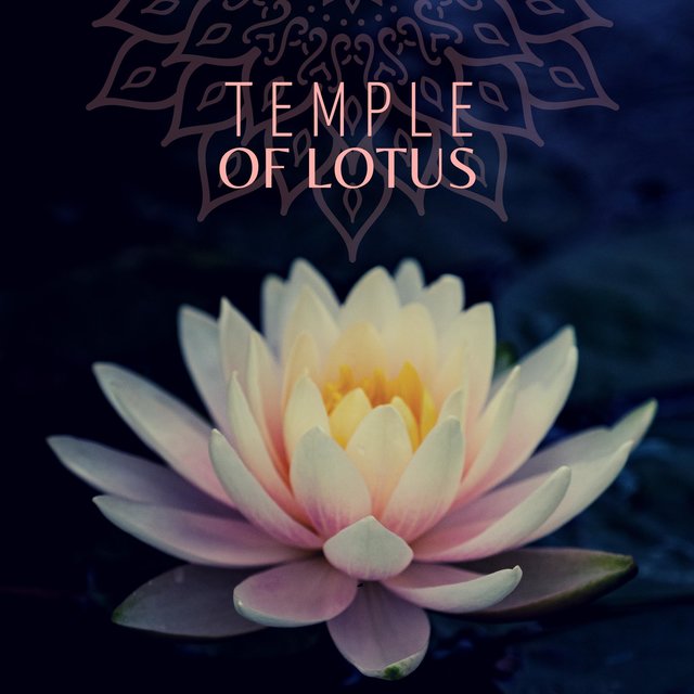 Temple of Lotus (Relaxing Japanese Music for Blissful Zen Meditation in the Asian Garden)