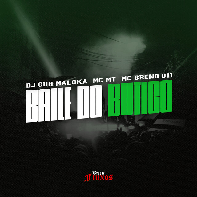 Baile do Butico