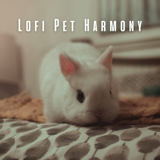 Lofi Pet Harmony: Chill Music for Pampered Pets