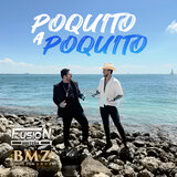 POQUITO A POQUITO