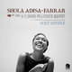 Cover art for album Lost Myself by Shola Adisa-Farrar, Florian Pellissier Quintet