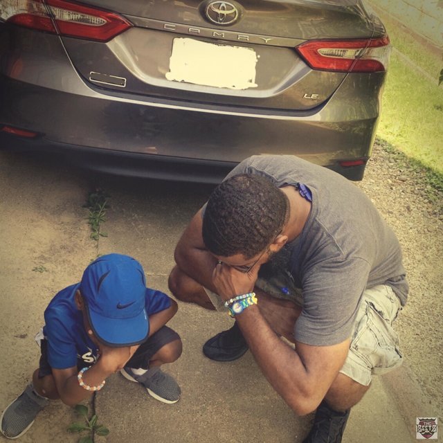 Camry Music