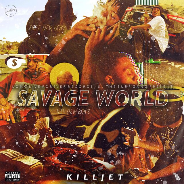 Savage World