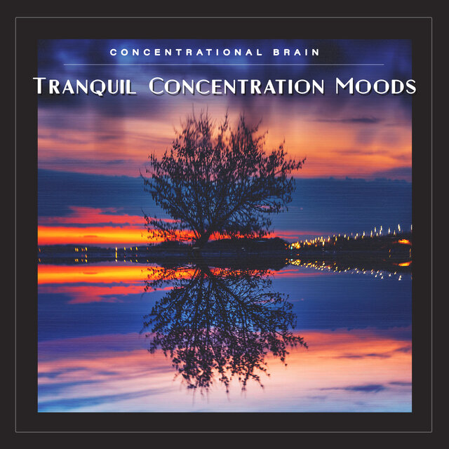 Tranquil Concentration Moods