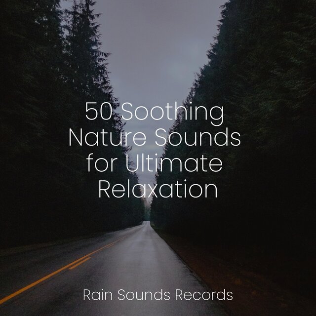 50 Soothing Nature Sounds for Ultimate Relaxation