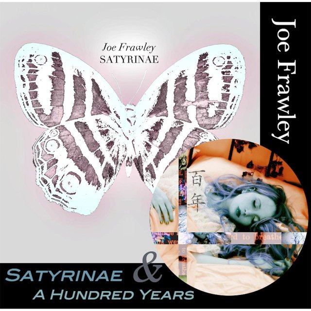 Satyrinae / A Hundred Years