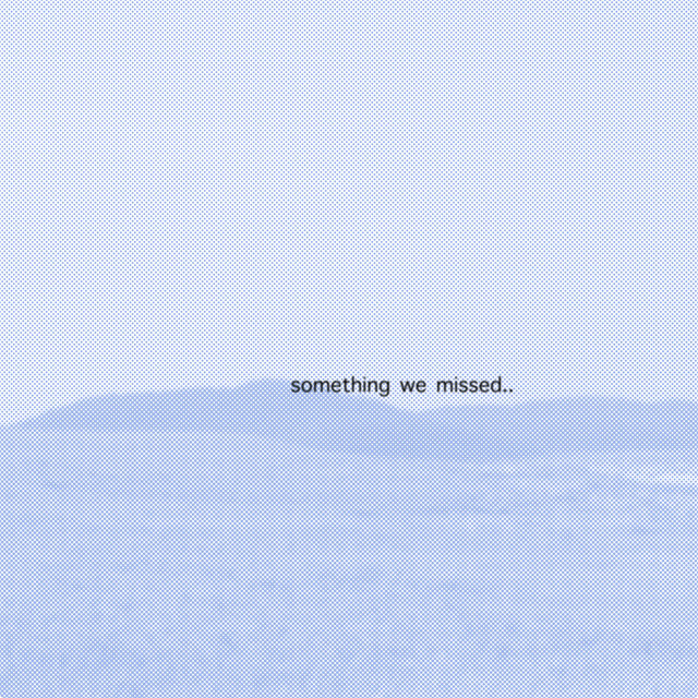something we missed..