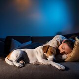 Armonía Ambiental Tranquila Canina