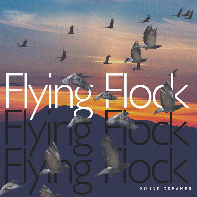 Flying Flock