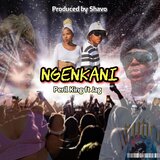 Ngenkani