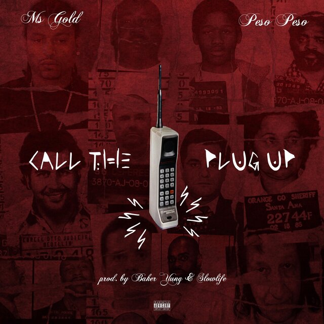 CALL THE PLUG UP (feat. PESO PESO)