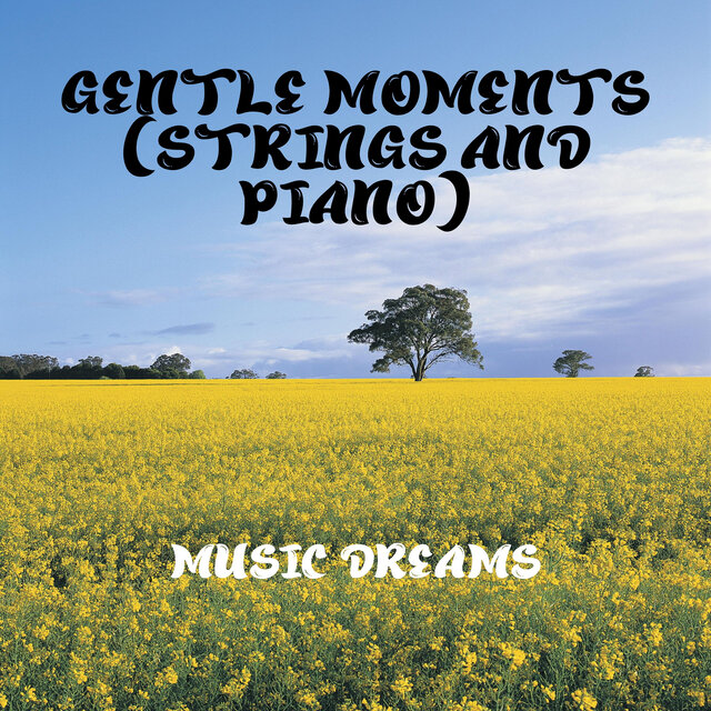 Gentle Moments (Strings and Piano)