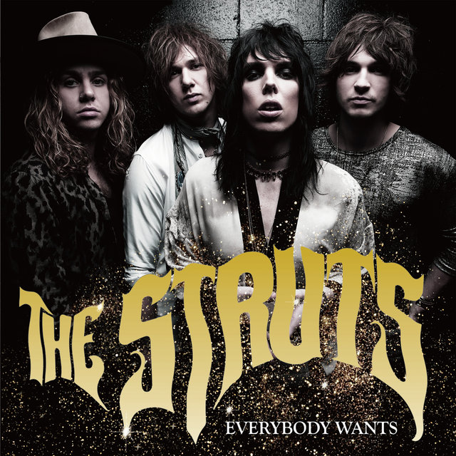 Everybody Wants
