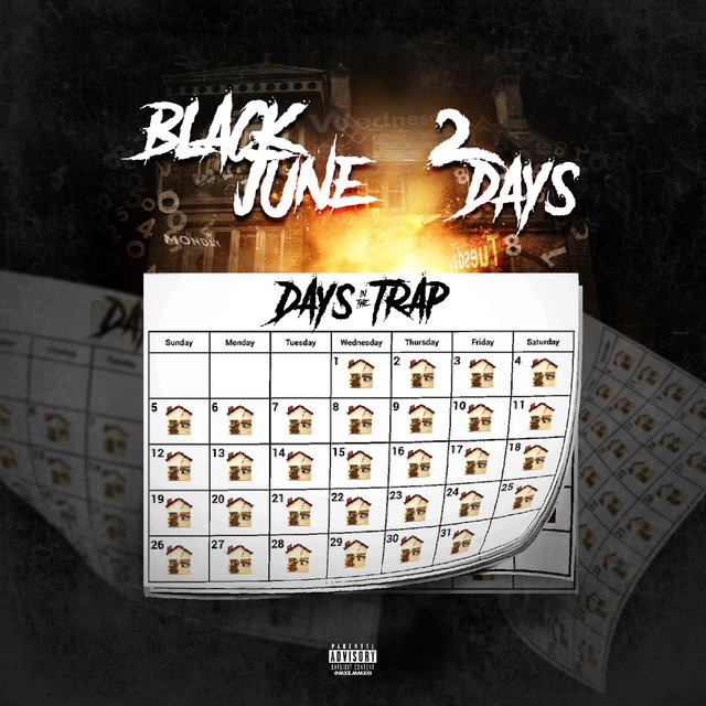 Days in the Trap