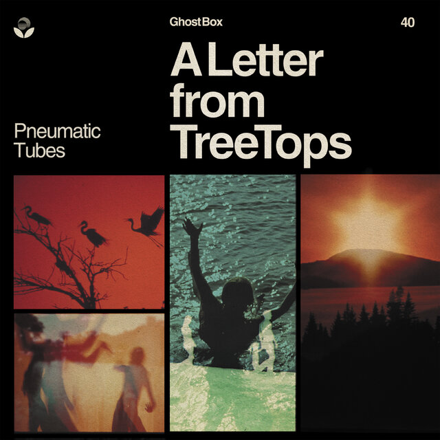 Cover art for album A Letter from TreeTops by Pneumatic Tubes