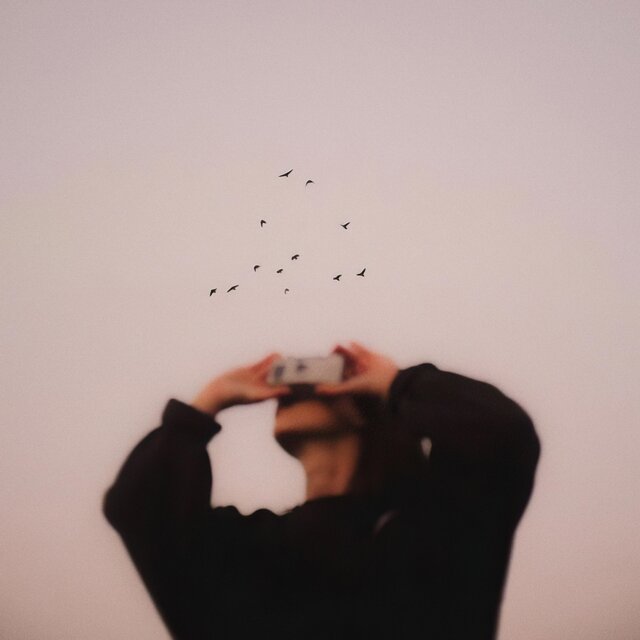 Blossom