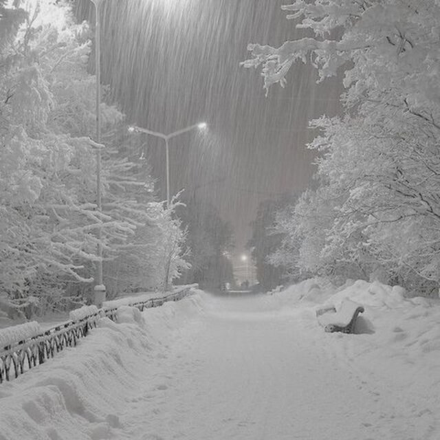 Peak of Winter.