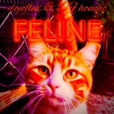 Feline