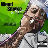 Weed Smoke in the Air - Official