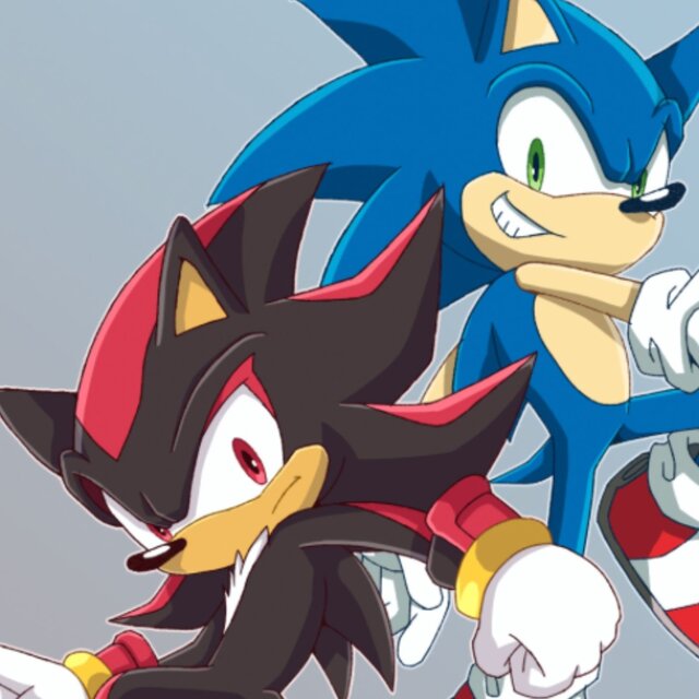 Sonic x Shadow