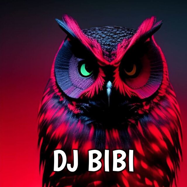 new project dj barat