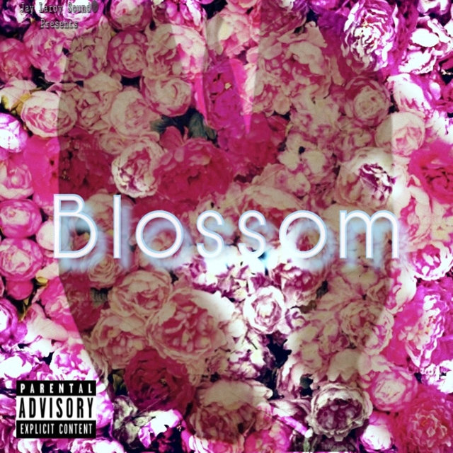 Blossom