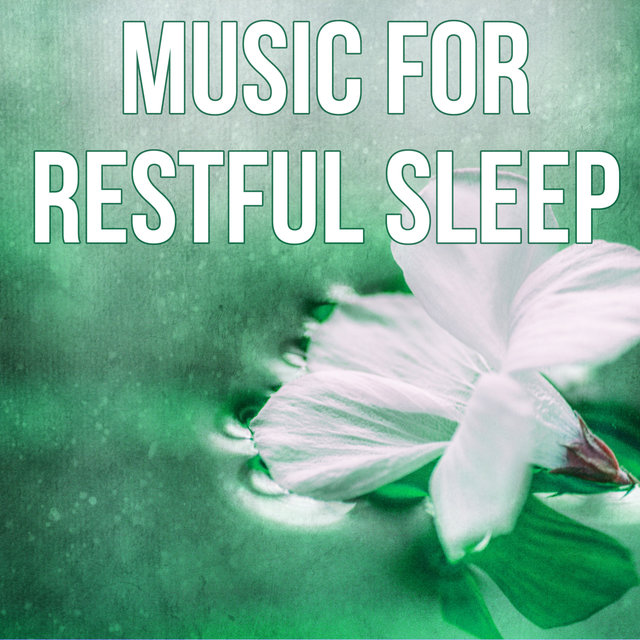 Music for Restful Sleep - Soothing Sleep Music, Soft Sounds of Nature for Sleeping Soundly, Gentle Music for Restful Sleep