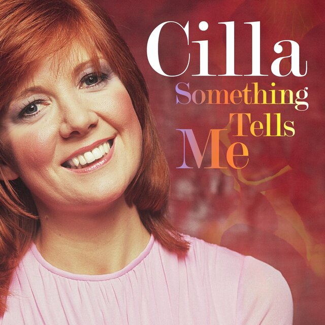 Something Tells Me (Single Version)