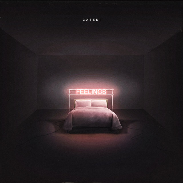 Feelings