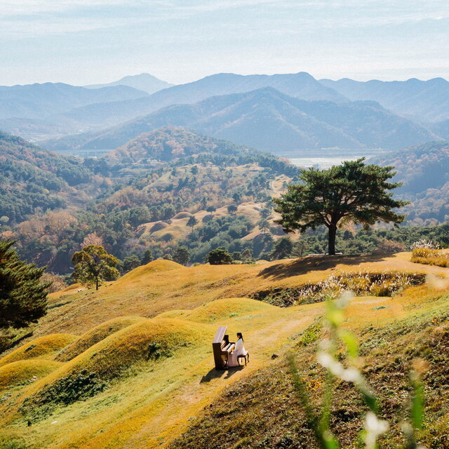 Project Go-ryeong