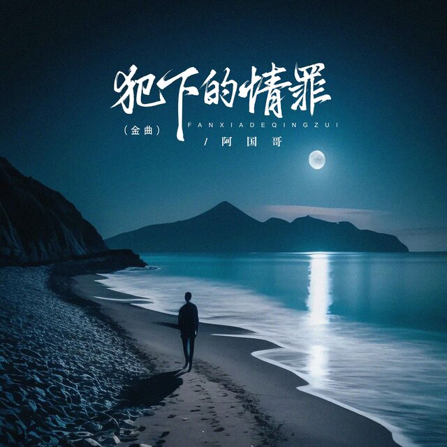 犯下的情罪 (DJ京仔金曲版)