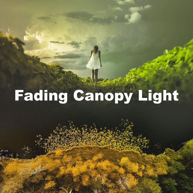 Fading Canopy Light