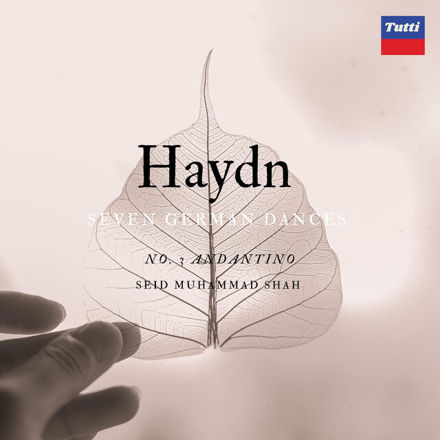 Haydn SGD: Andantino No.3
